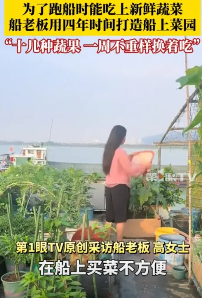 “彻底解释不清了！”4年前，女子跑船吃不到新鲜蔬菜，竟在船上打造一个50㎡菜园！