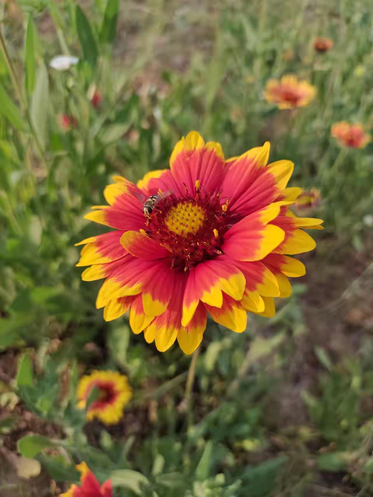 三天内大盘回不到之前的节奏，我就得开始减仓了。之前十七连阳的疯牛行情，跟凸