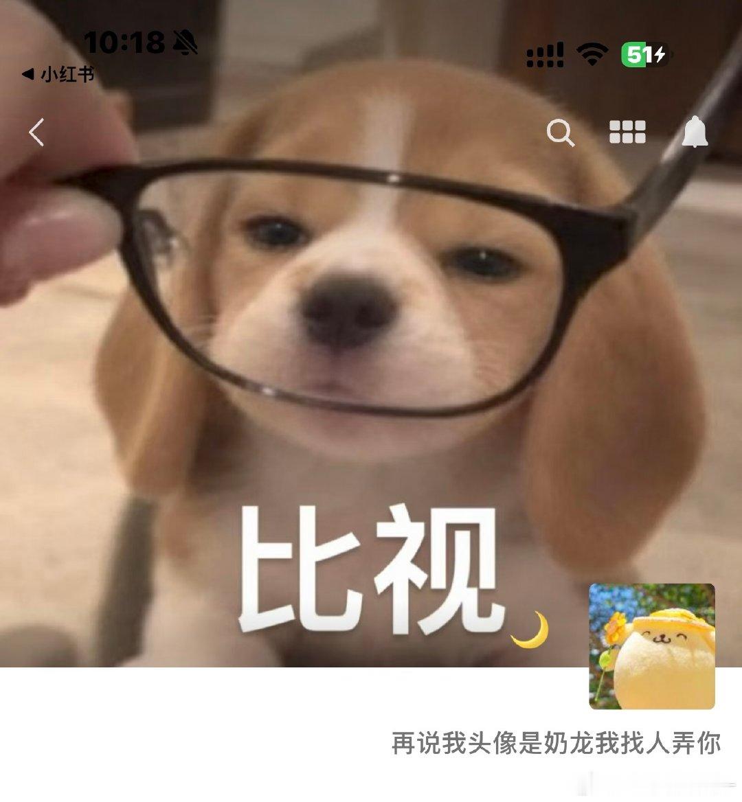 弄你（曾毅式回复法​