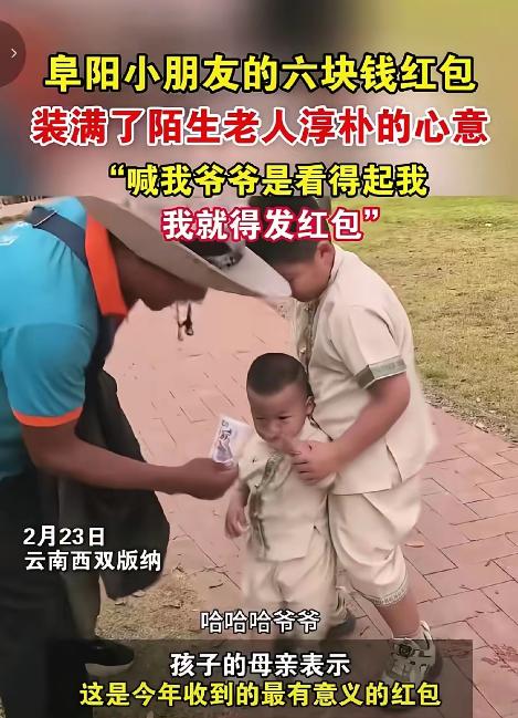 泪目！2月23日云南西双版纳，一位游客的孩子，因为喊了一声酒店门口给花草