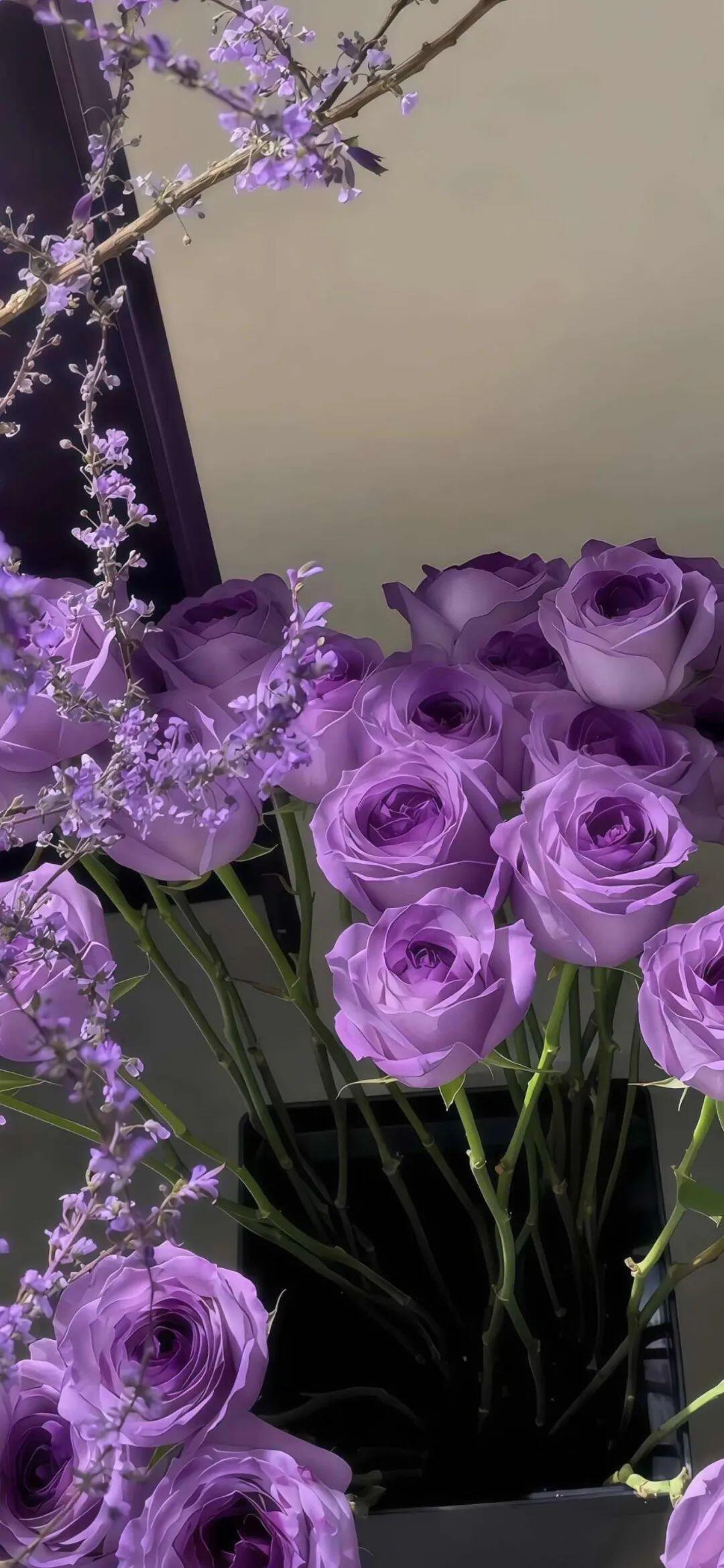 壁纸分享𝐄𝐧𝐣𝐨𝐲𝒍𝒊𝒇𝒆🤎在忙在开心在调整状态在