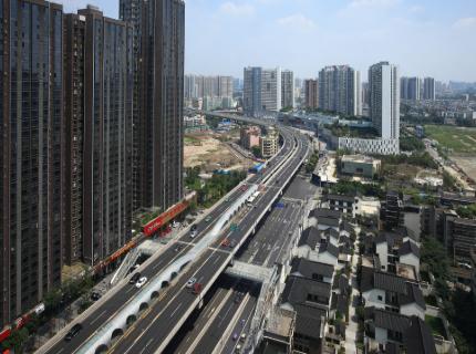 咱们今天聊一所学校——成都农业科技职业学院。我知道，提到“农业”两个字，好多家