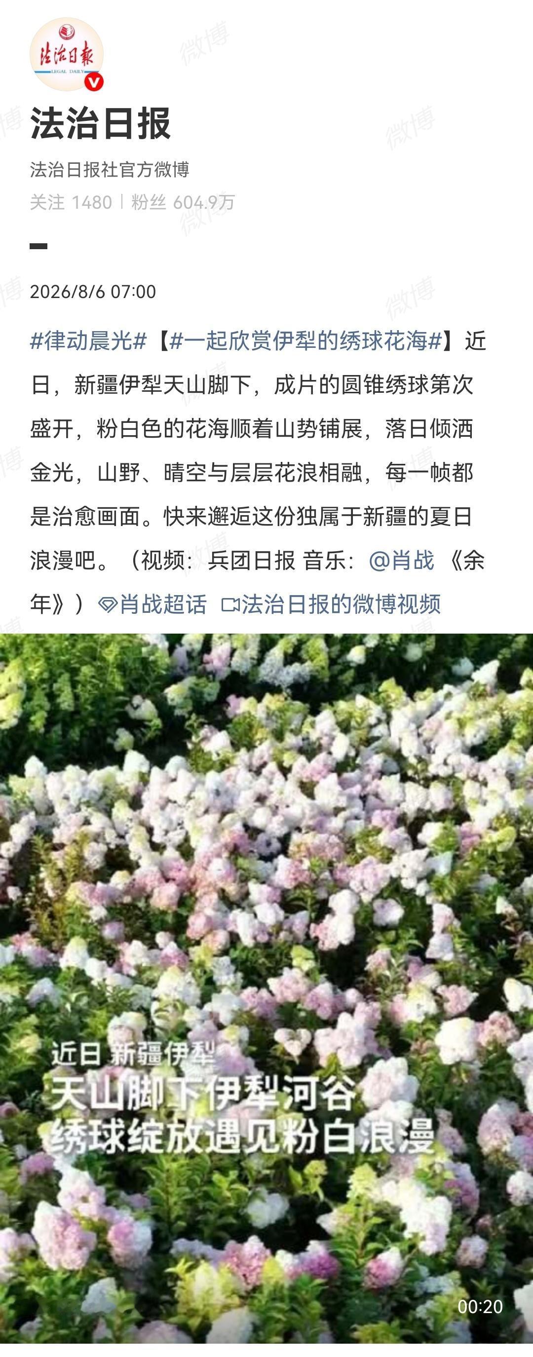 8月6日，媒体点歌肖战