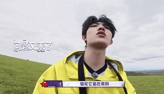 苏新皓告马的状谁来管管这个苏新皓，还有他的马也顺便驯服一下，小马开始的善良乖巧面