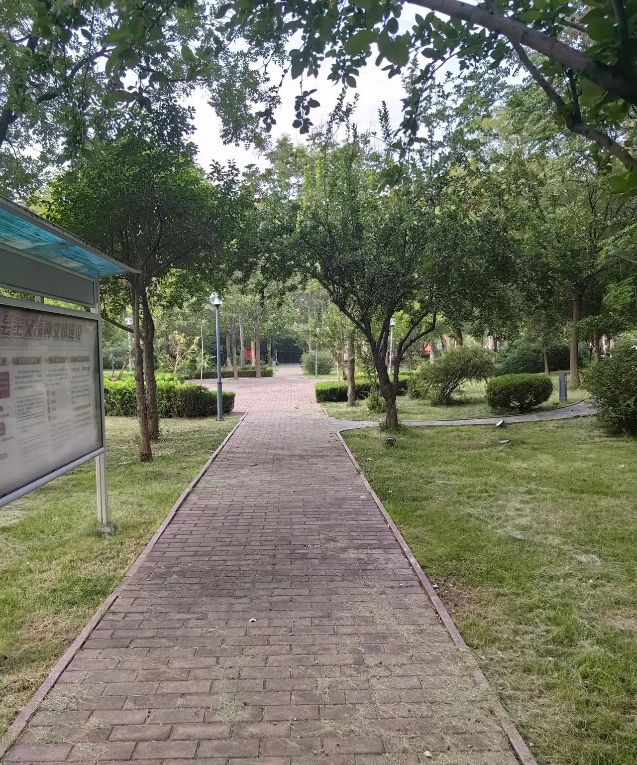 一帮退休的老头在公园里拉呱，谈到了上级巡视组进驻县城的事情。老刘说，怎么又来巡