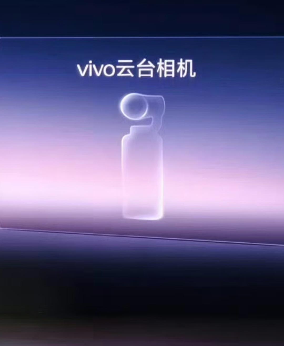 vivo这个东西昨晚也提了一嘴，不过得明年了。手机厂商会不会更懂用户想要什么样的