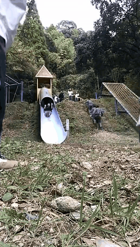 这个设计好滑完练跑步