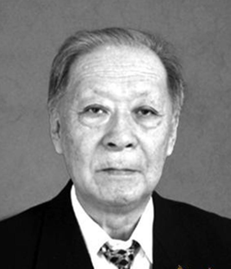 真正的大国良医！不靠名贵药方治病，一味平和，救活无数疑难病人方和谦（192
