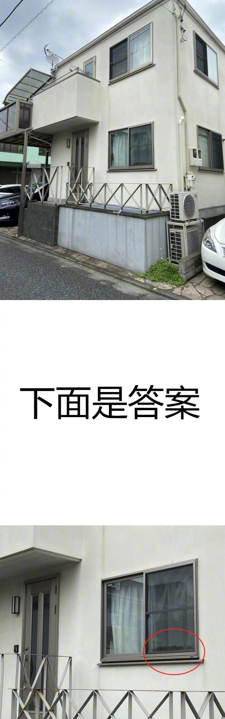 “你能找到几个隐藏的猫咪？最后一张也太难了！”