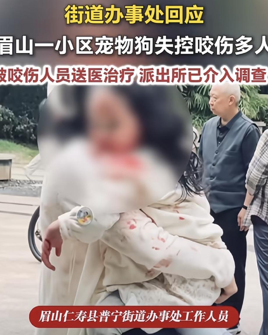 恶犬伤人事件总是反复上演说到底还是对狗主人的惩罚力度太低了才三岁的小姑娘，