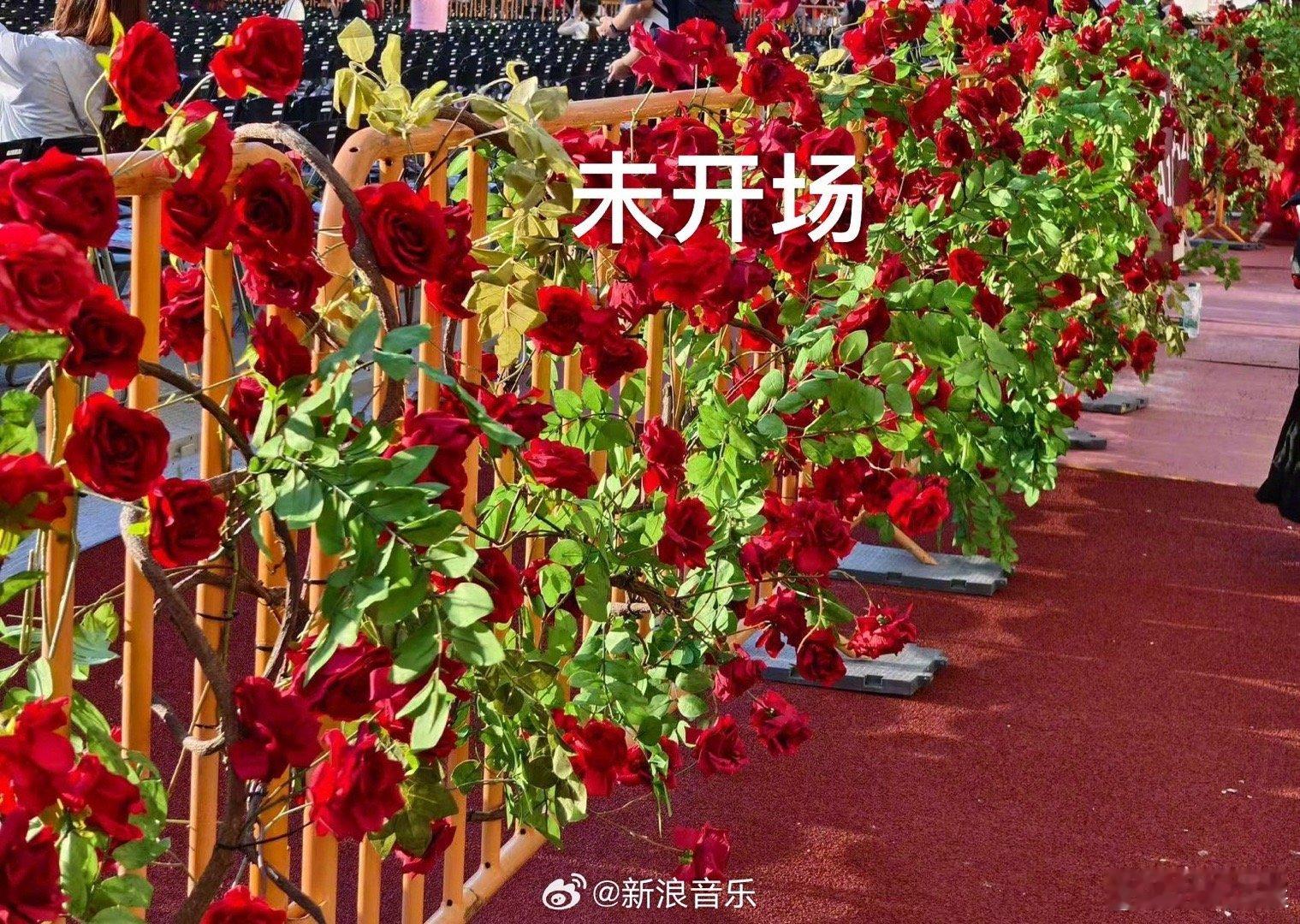 华晨宇七夕准备了8万朵玫瑰花谁被华晨宇七夕的8万朵玫瑰花戳中了！浪漫值直接拉满，