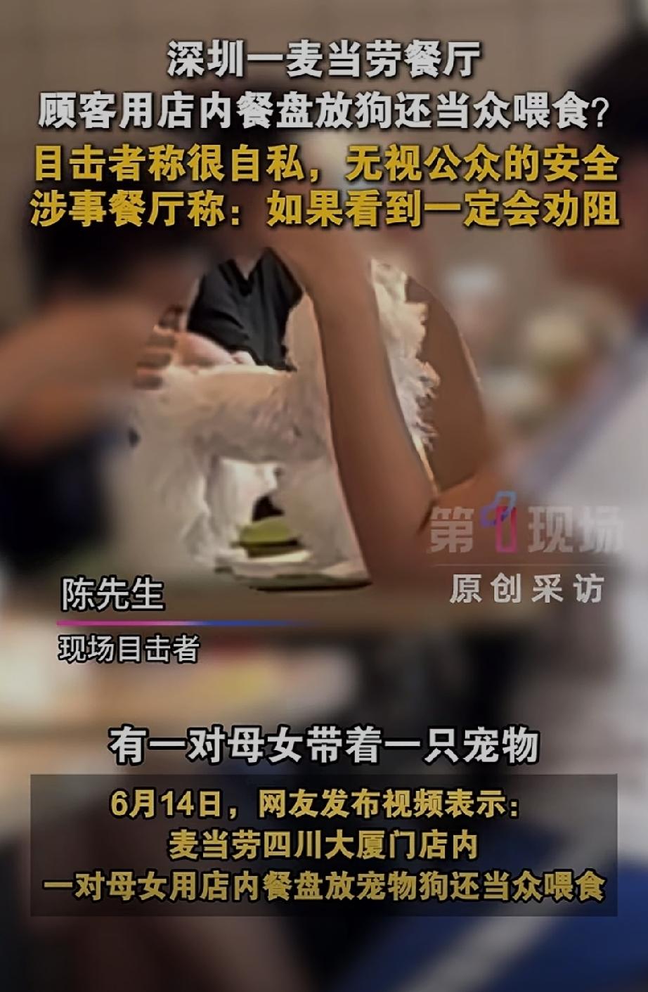 深圳一家麦当劳餐厅内！母女俩用店内的餐盘放狗，并且在餐厅里喂狗。事情发生在麦
