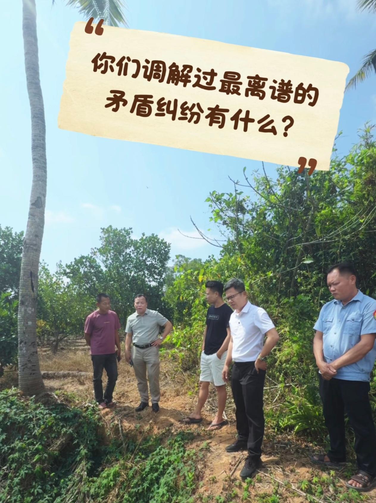 来看看大家调解过最离谱的矛盾纠纷都是什么？1、买菜大娘踩坏了一个卖菜大爷摊位