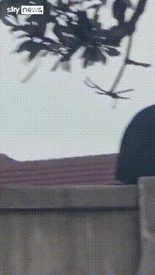 杀手如猎人般发射，立杀15人，以色列的震惊程度，不亚于澳大利亚！澳大利亚当地