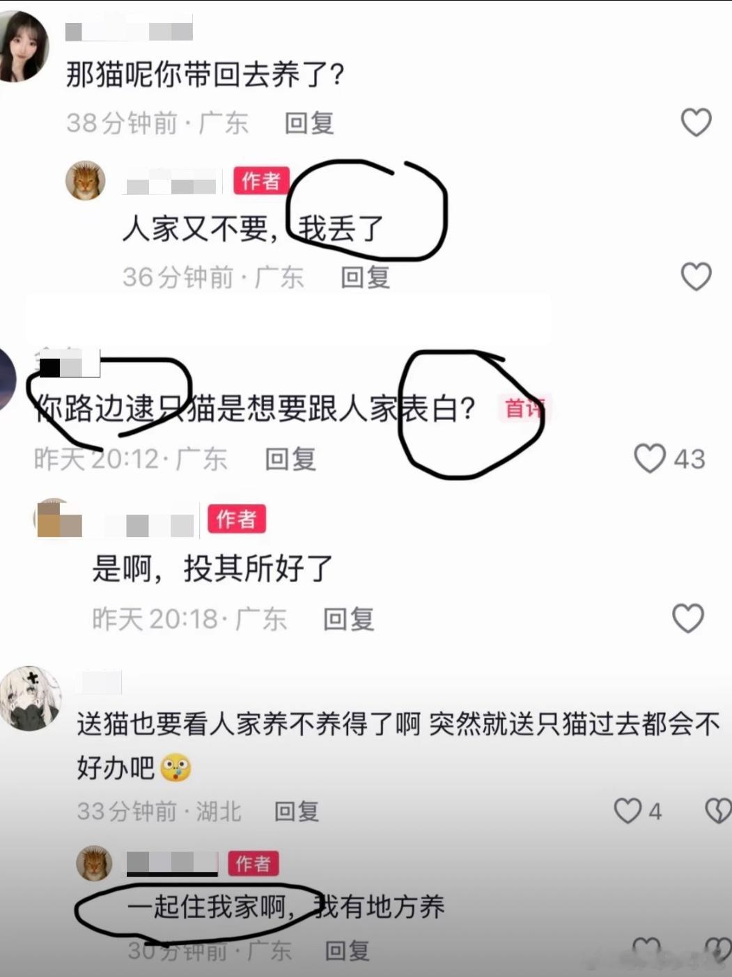 民间艺术观察