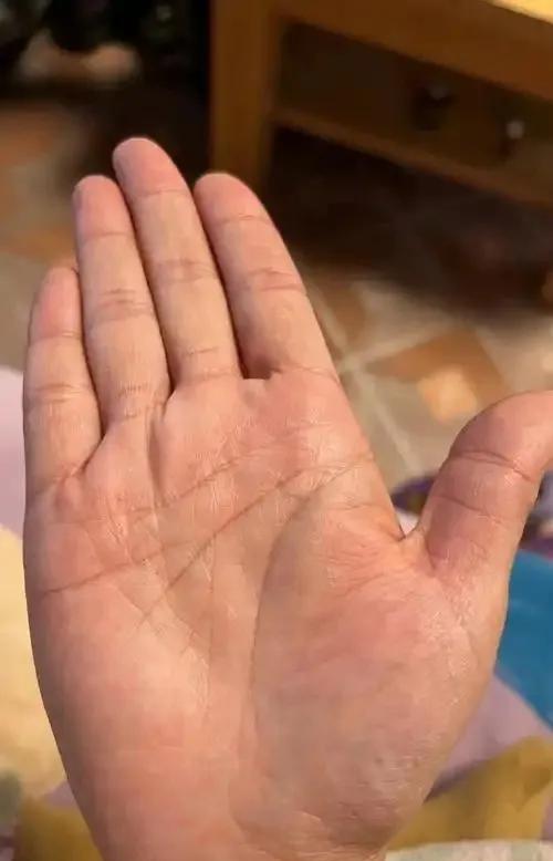 有时候遇见一些女性手相其实心里也难免几分遗憾明白其中的苦楚，每个人怎么走来