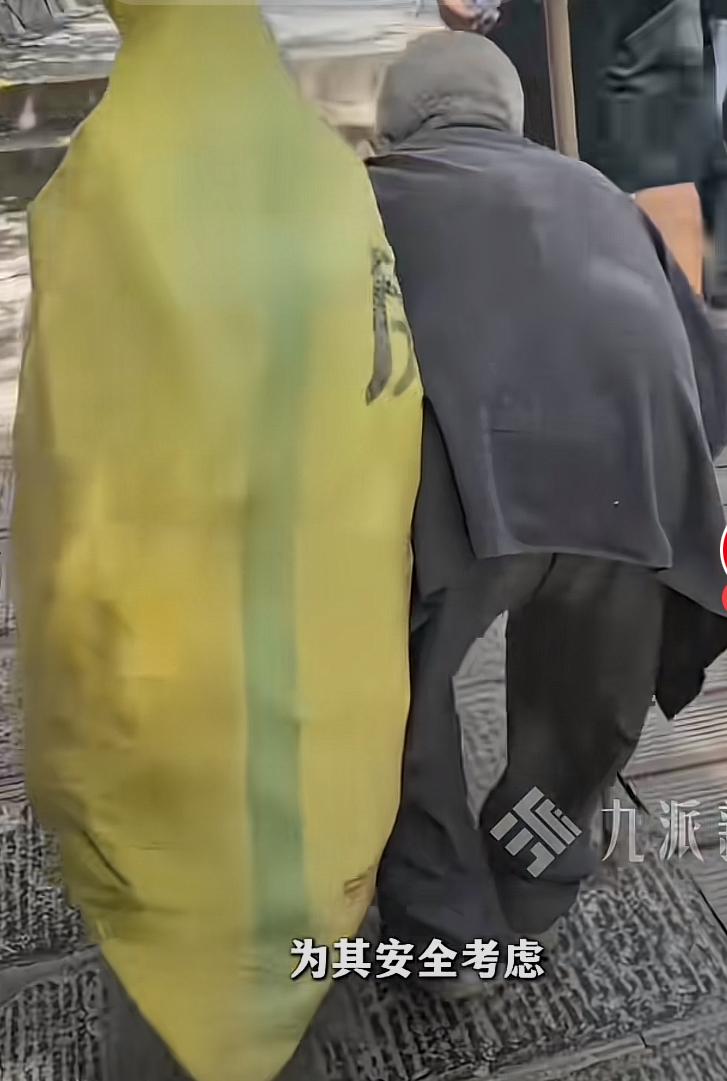大家真是料事如神！张家界风景区的拾荒老人以后没机会再去那儿了。前几日，一群来张