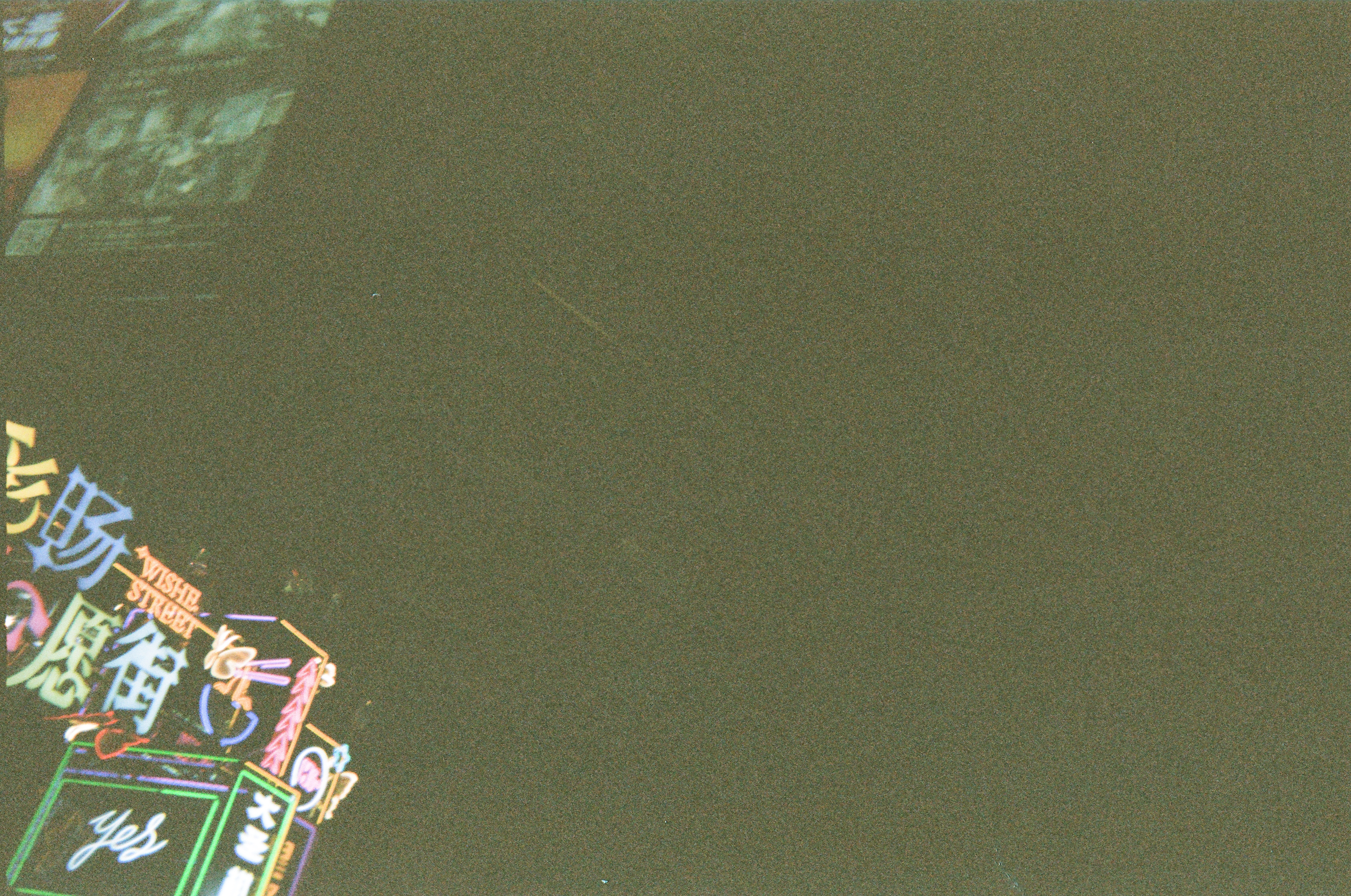 我家摄影大师来了