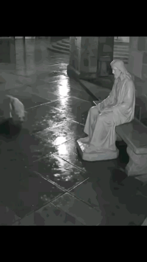 被主人丢弃的小狗在绝望之下，只能在这假人脚下寻找安慰。