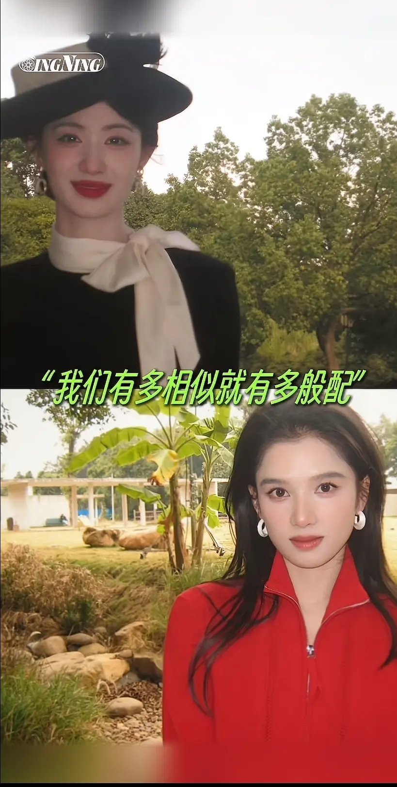 王楚然张婧仪五官竟然这么像？感觉像一个爸妈生的。。