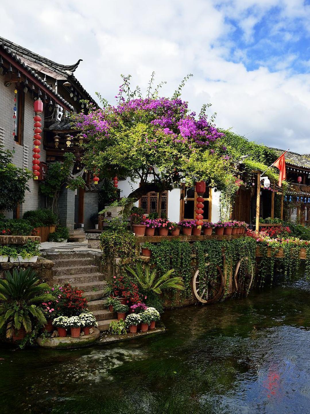 离开丽江越久，想回去的念头就越疯长。那地方，像在心底种了棵会开花的树，时不时就挠