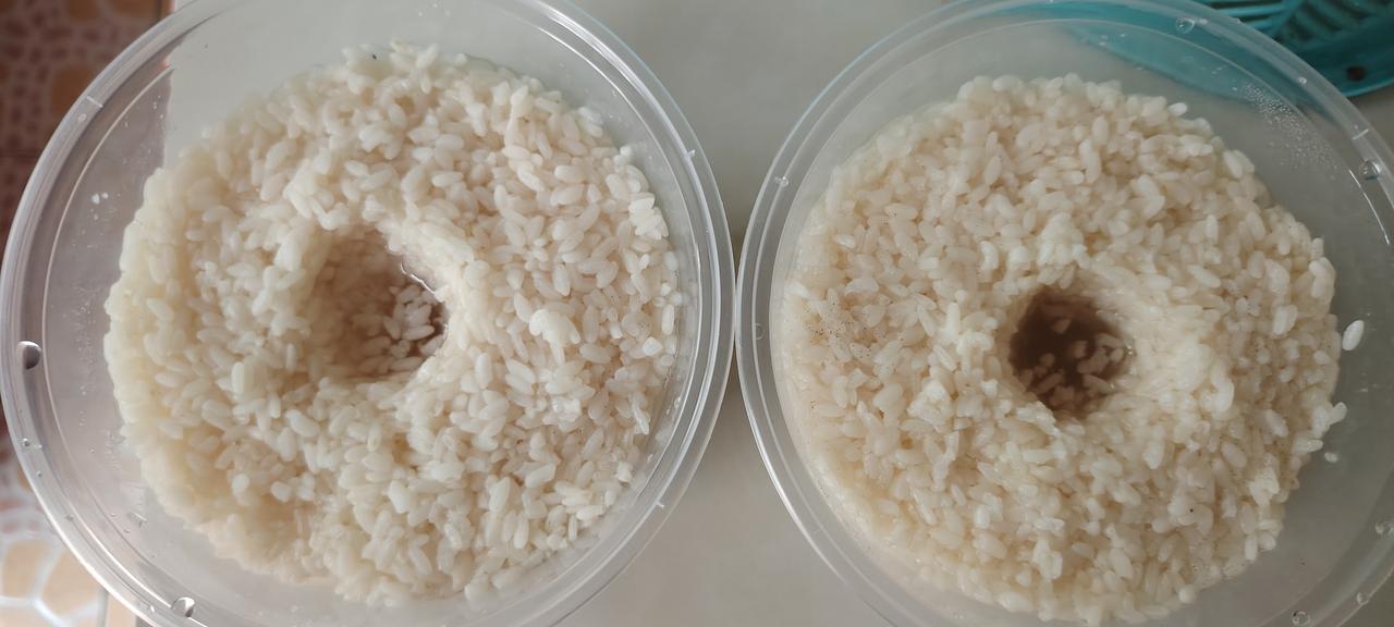 今天本该是去摆地摊的。老公答应帮我一把，陪我到菜市场实操第一次。摆摊卖什么呢？卖