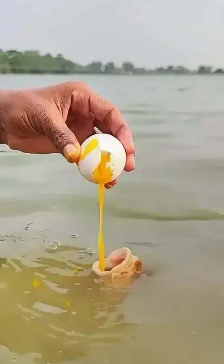 钓鱼佬都给干沉默了阿！