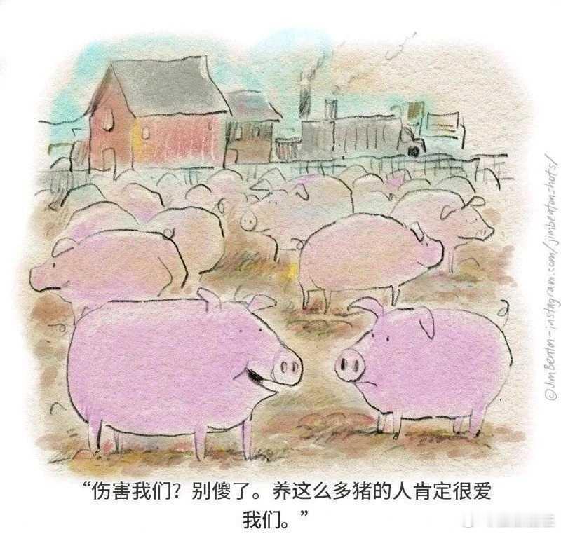 毒鸡汤​​​