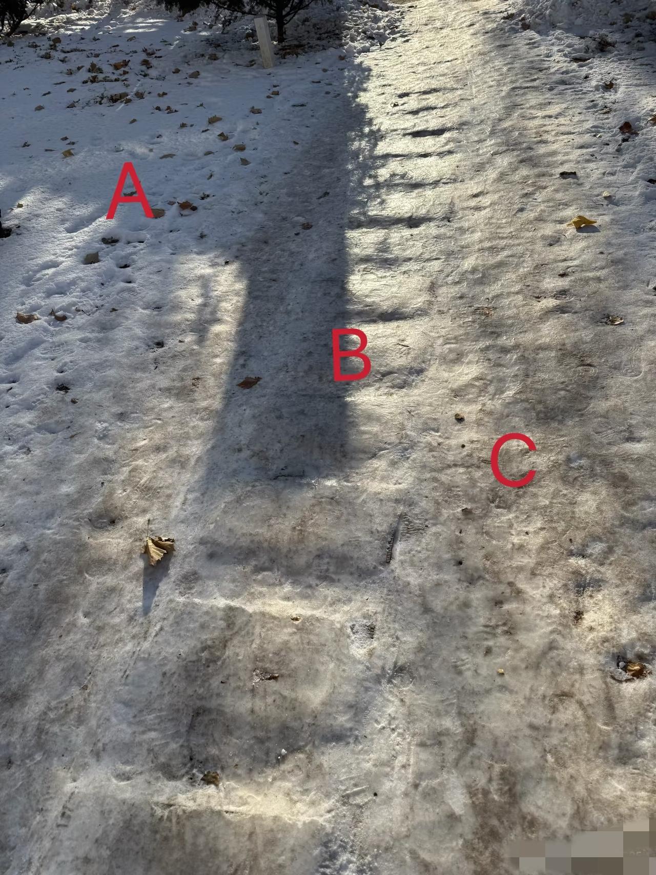 东北人走哪条路[笑着哭]