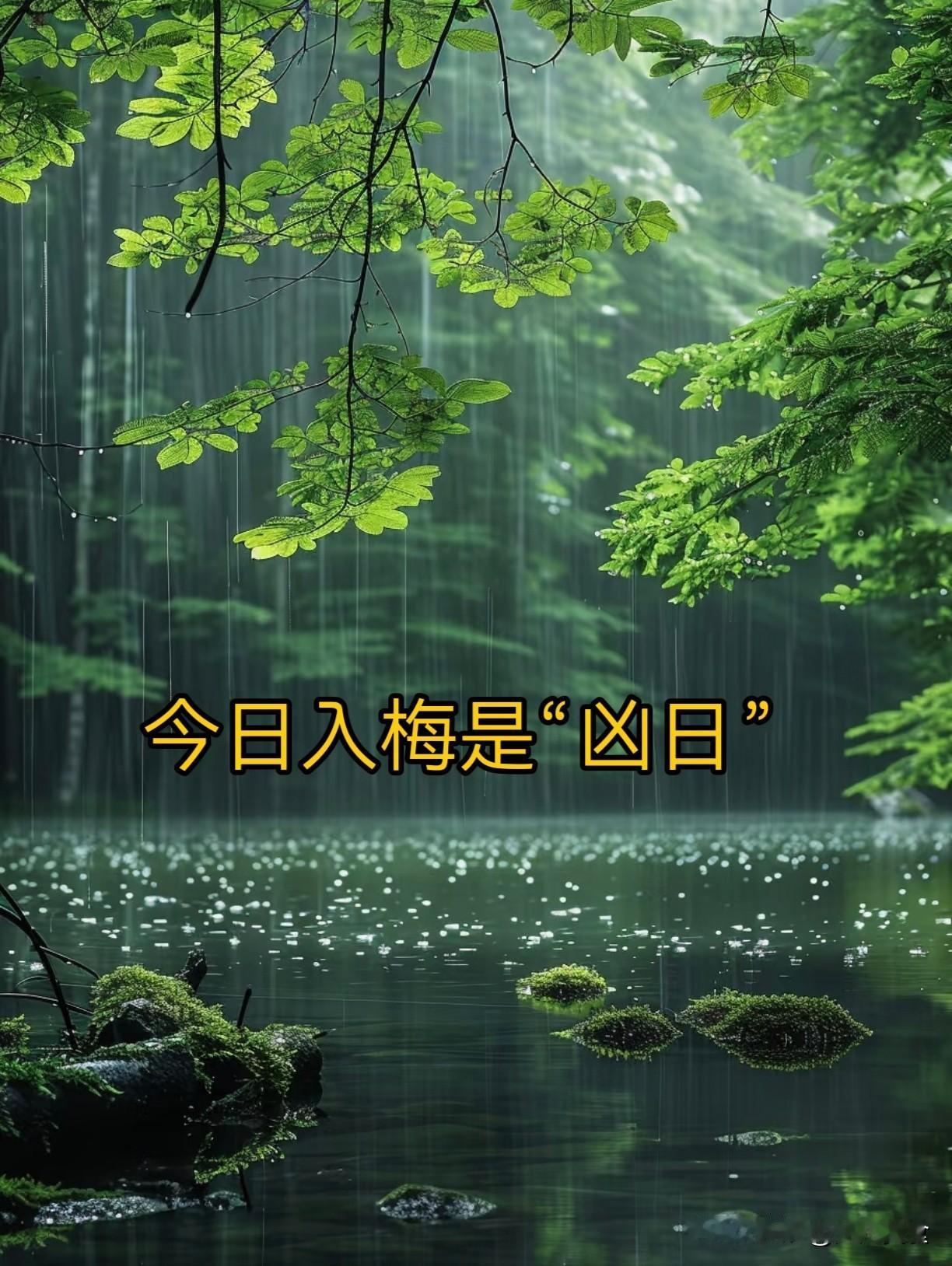 今日入梅，老话“入梅是雨天，寡妇要发愁”，入梅下雨什么预兆？2026年6月