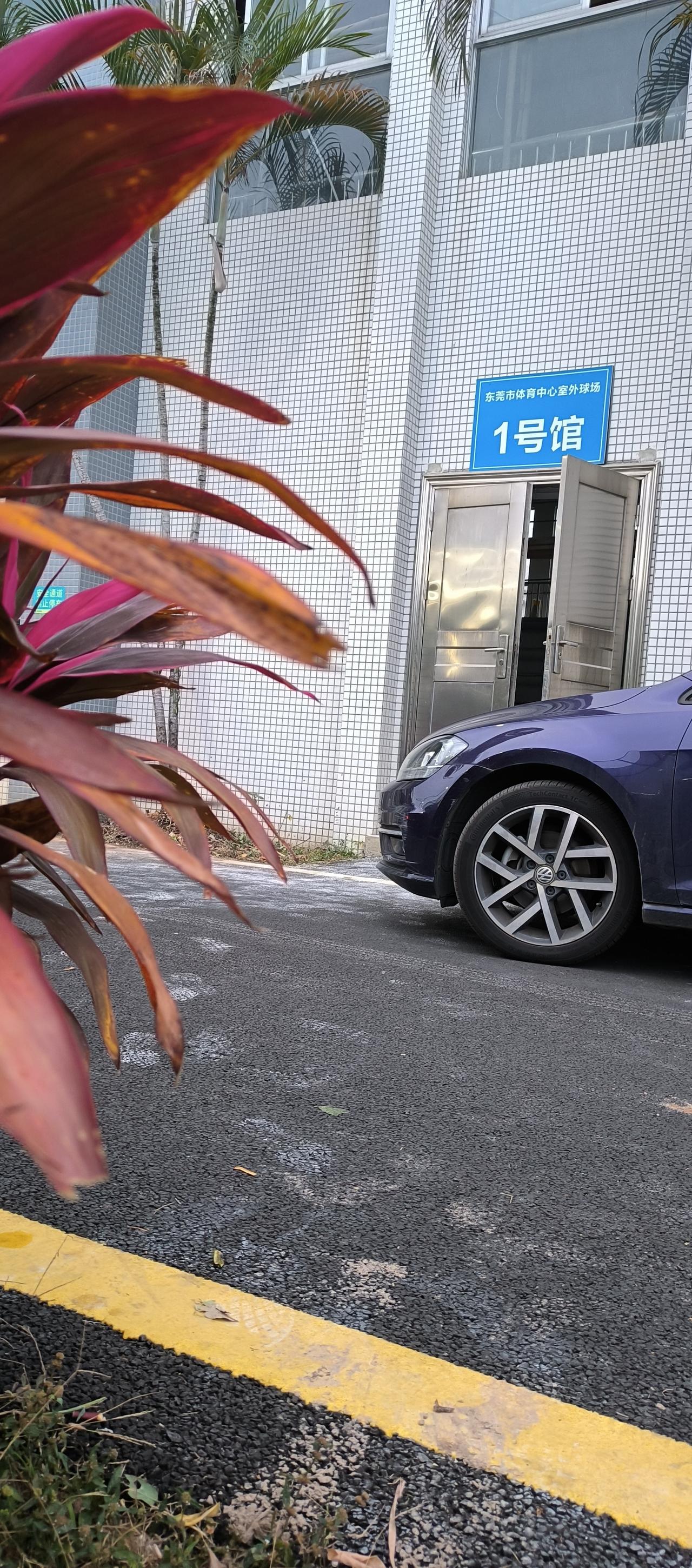 东莞体育中心1号馆，全部装修，置换体育场馆灯光照明设备，迎新年！