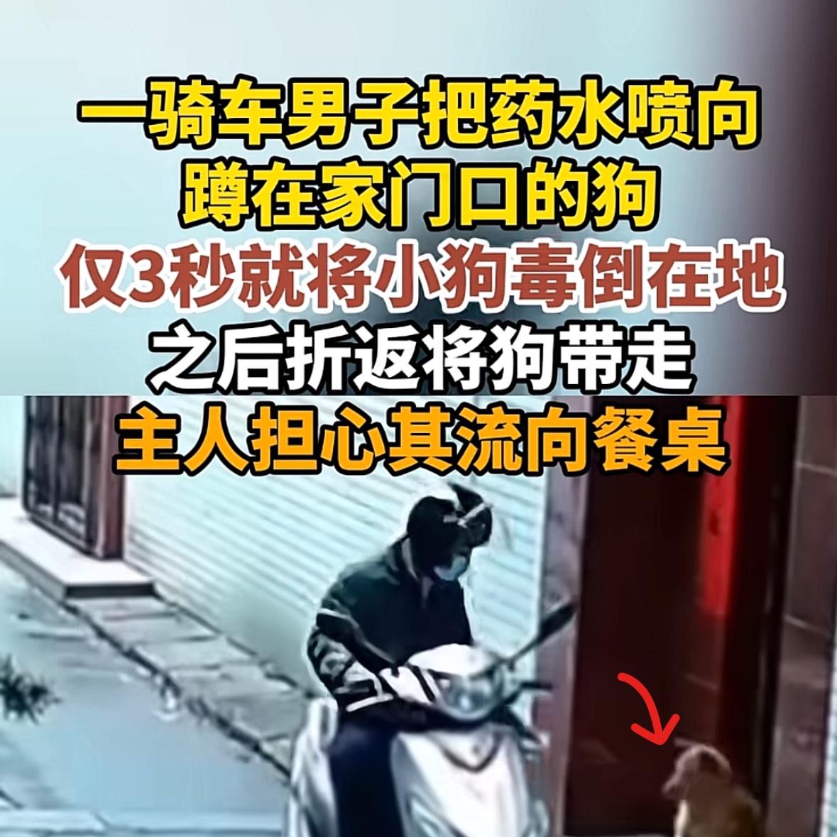福建漳州，一名骑摩托车的男子，戴着头盔口罩，路过一男子家门口，对着蹲在门口的 小