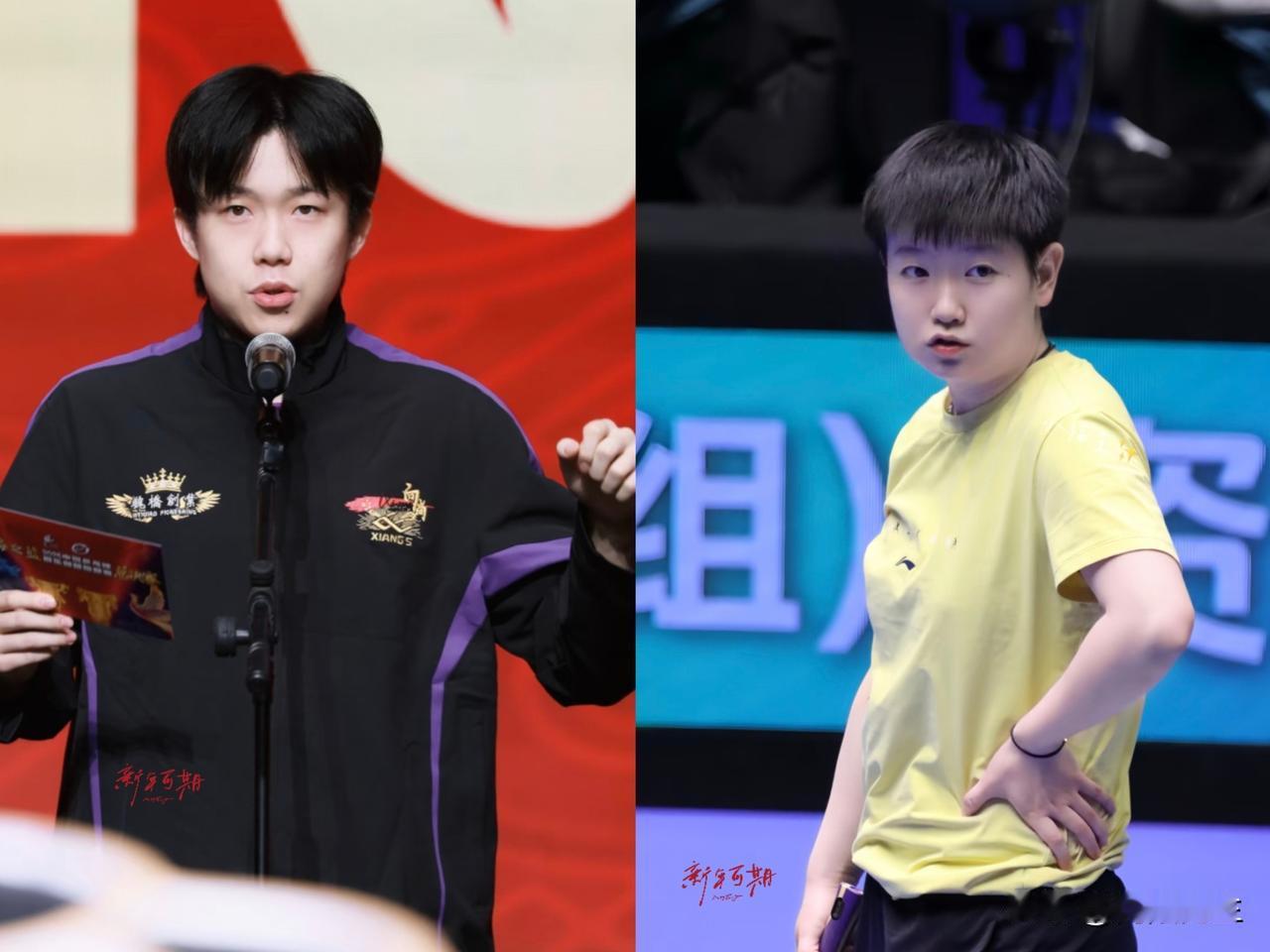 这数据看得我鸡皮疙瘩都起来了！刚才瞅了一眼年度最佳名单，王楚钦和孙颖莎这俩年