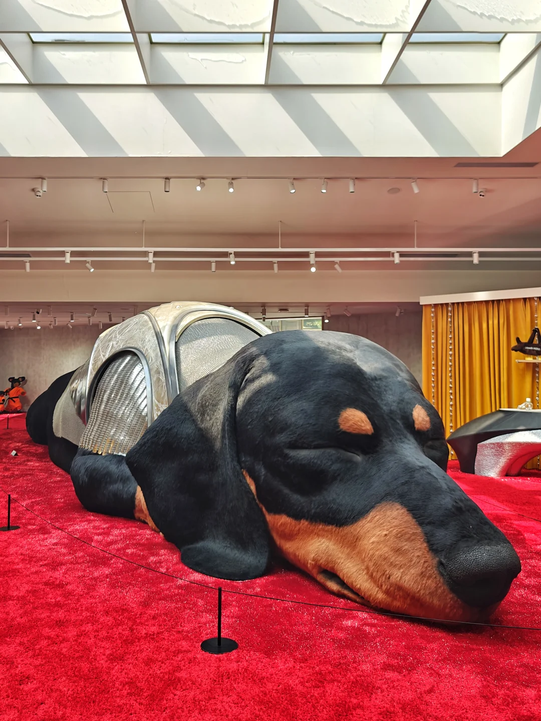 Tamburins北京店！谁还没来打卡巨型腊肠犬