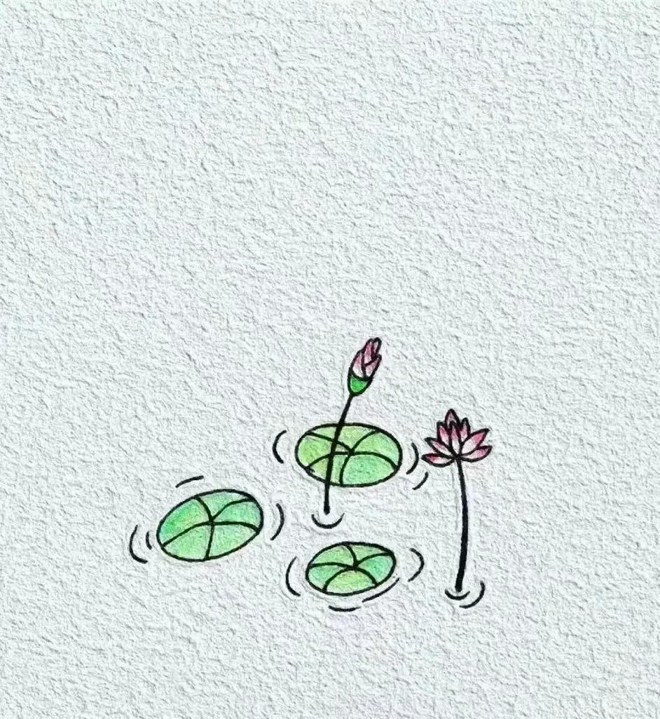 一个人做的最糊涂的事情莫过于把那个满心满眼都是你的人弄丢了他明明看透