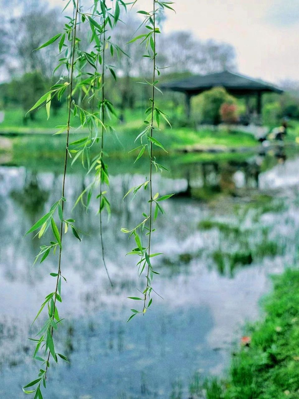 婆婆腰疼的起不来，哼哼唧唧的喊媳妇。“哎呦，哎呦。不行了，动不了……”媳妇翻一