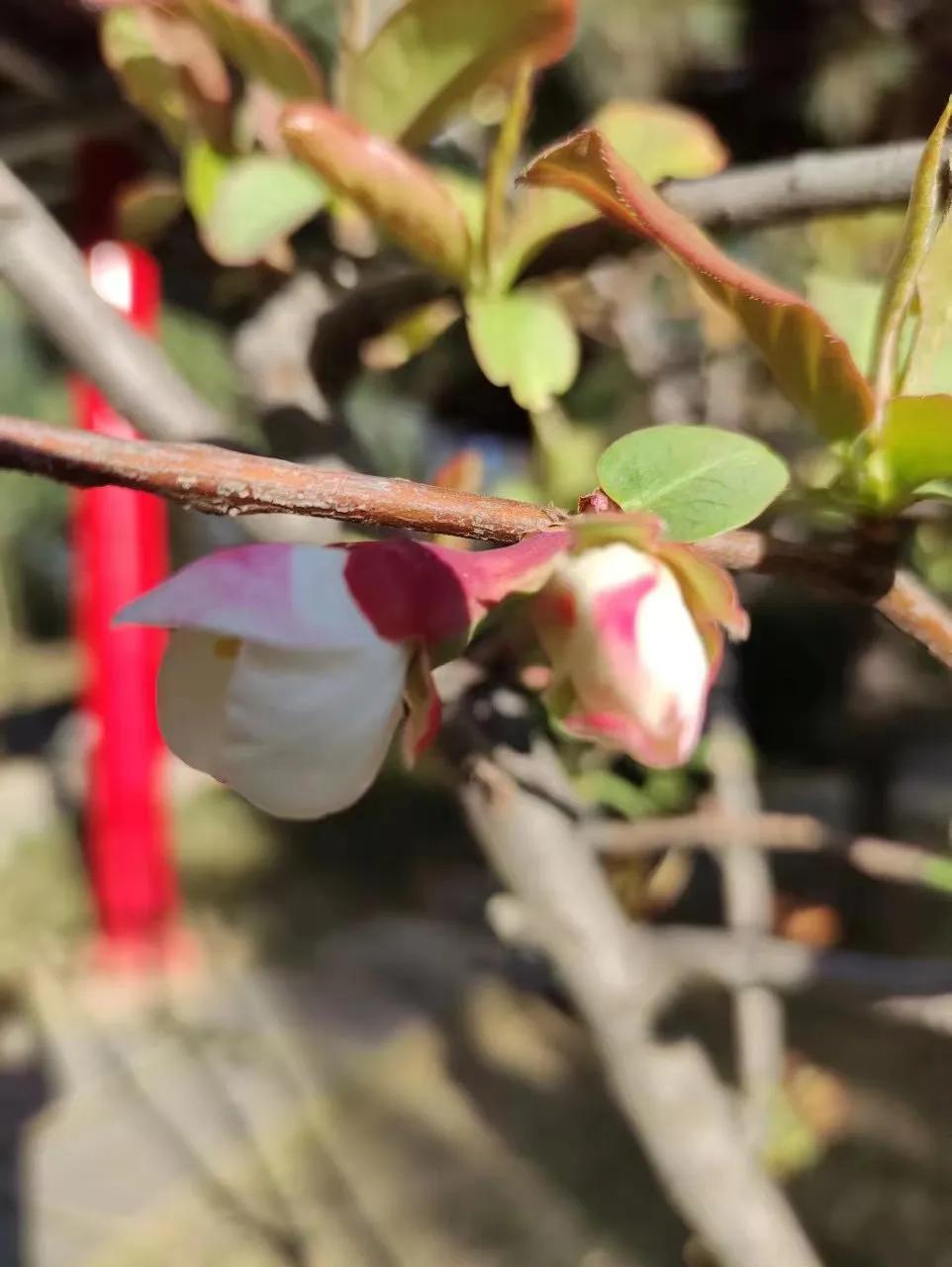 这大概就是所有爸妈的通病吧接孩子放学时才发现，同班好多孩子，居然都是自