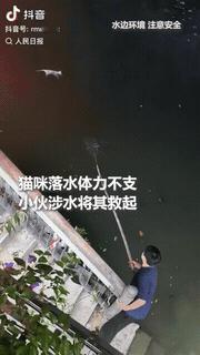 上人民日报了！成都，锦江畔上一只流浪猫落水，因为体力不支再也没有力气游向岸边，