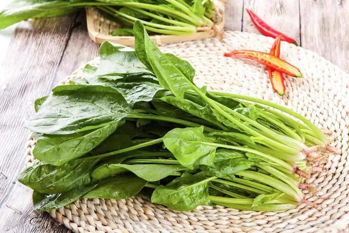 原来它是“长寿菜”，一护眼，二通便，三强免疫，中老年人要常吃谁能想到，小时候