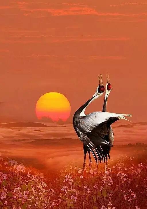 前两天省厅的一位老处长在群里和大家告别，他2月份办理了退休手续，大家都祝贺他开始