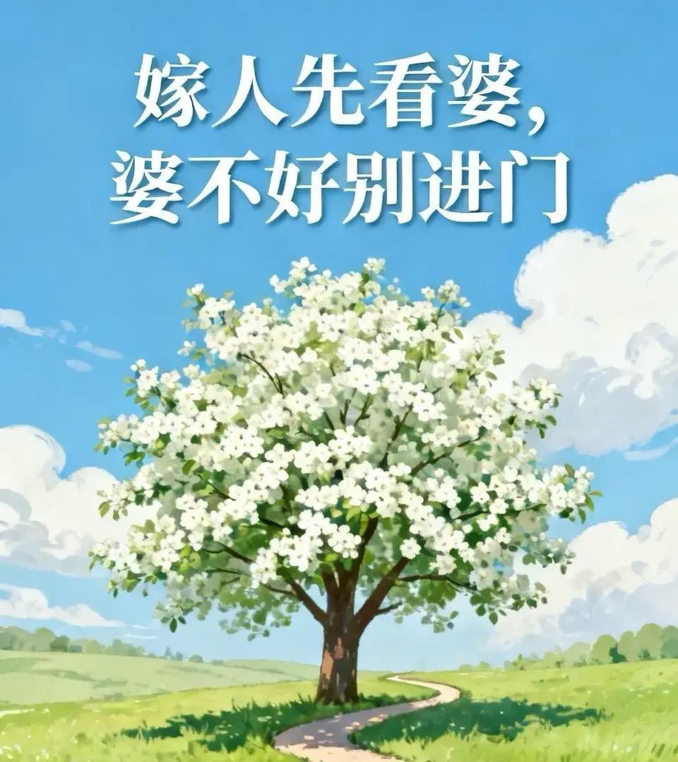 嫁人先看婆，婆媳处不好，婚后多半难安稳。我一直觉得，选对象不是只看那个人对你
