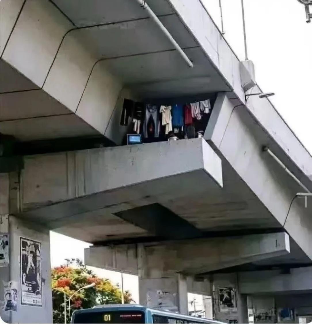 我就想知道他是怎么上去的？