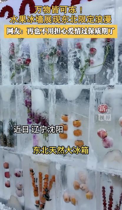 东北的冬日浪漫又上新了！辽宁沈阳浑河岸边的水果冰墙彻底出圈，吸引大批市民游客打卡