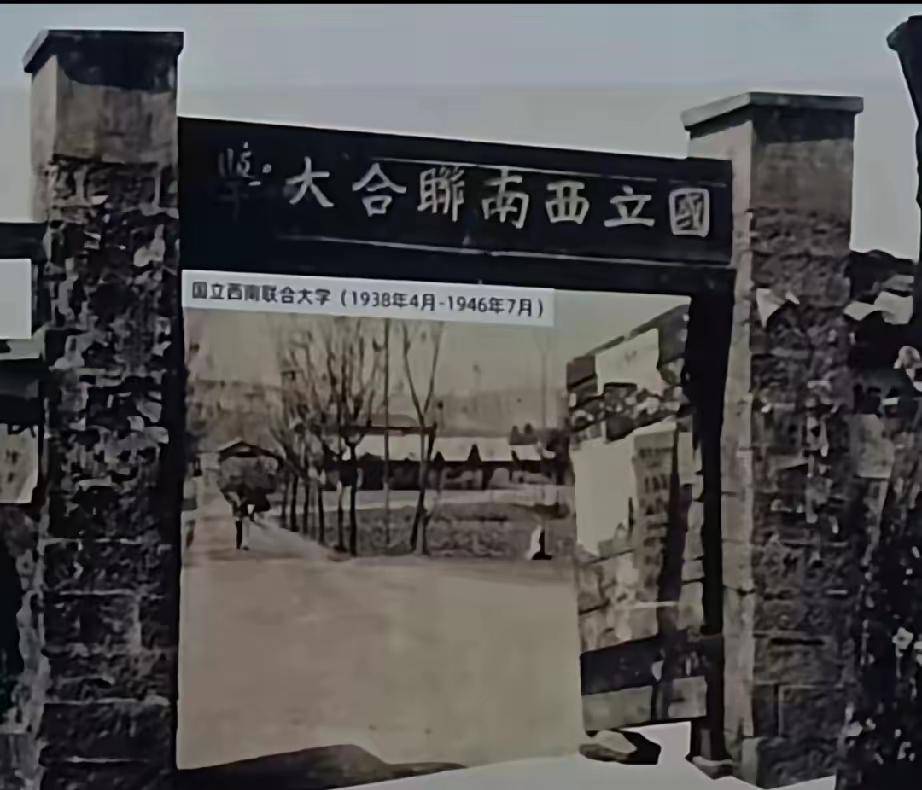 杨振宁先生去世才知道中国最牛的大学不是清华,也不是北大而是叫西南联大,虽然