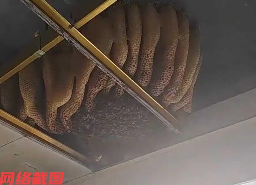 江苏宿迁有户人家要安装刚买的热水器。当热水器安装的师傅过来，拆开厨房吊顶后，