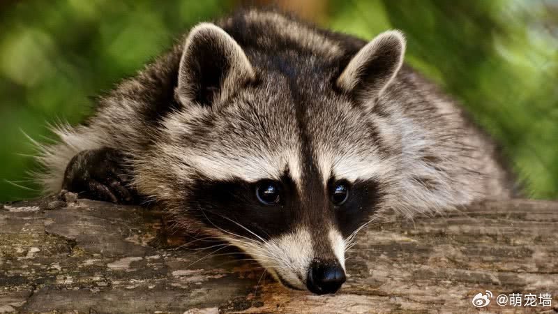 以防你不知道这个冷知识！一个普通人（身高1.83米）的肛门可以扩张到大约2