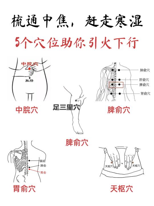 中焦堵了浑身难受！快艾灸这5个穴位🔥