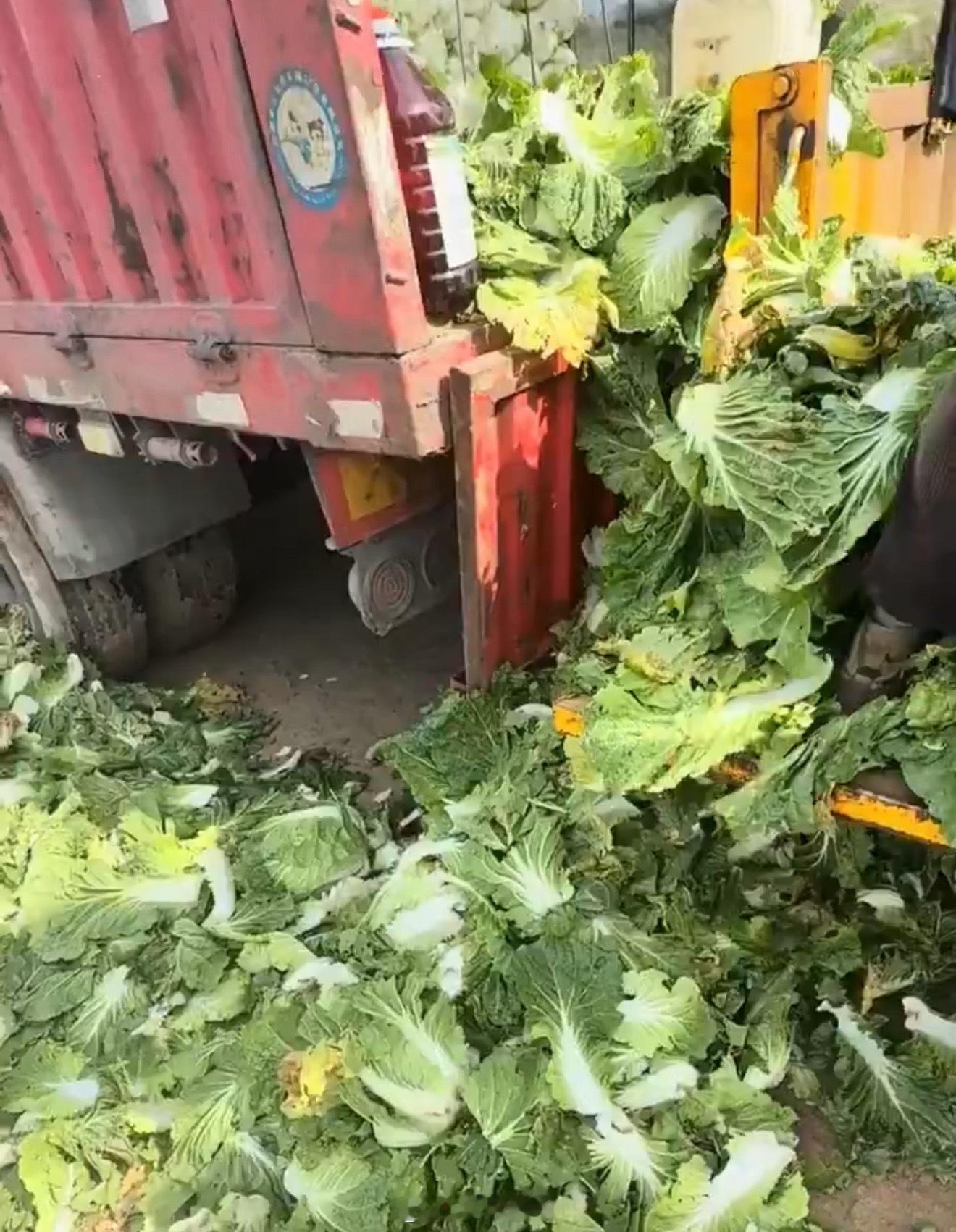 甲醛白菜源头被端了汤家凤：一次又一次的突破底线，这样的事件谁敢保证以后不会发生？