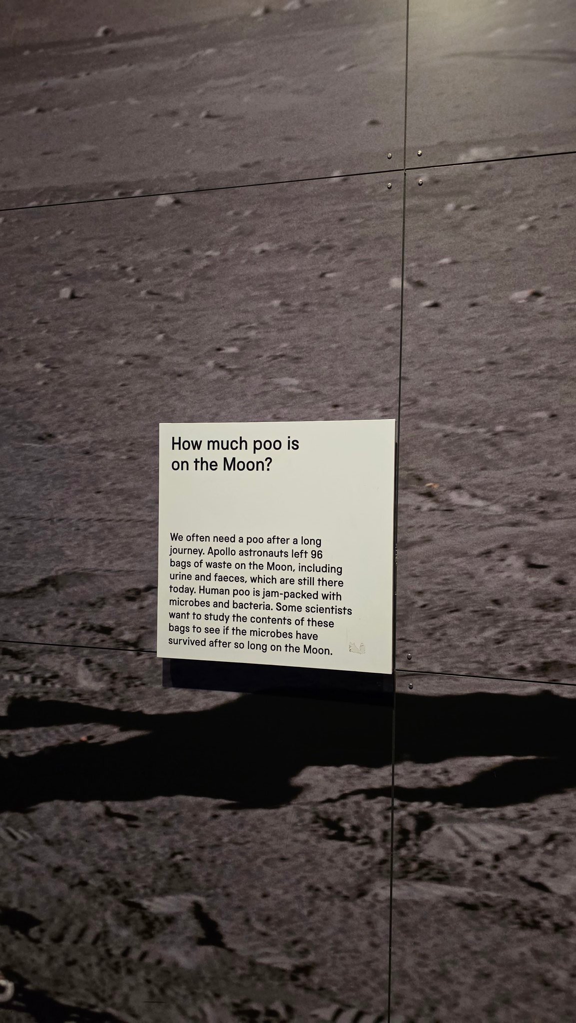 月球上有96包人类粪便！¹其实各种垃圾上百吨！²电池、遥控器、机械阀门、多功