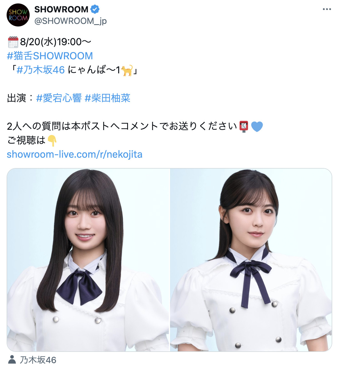 猫舌SHOWROOM​​​